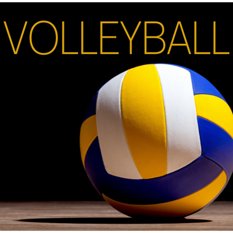 Volleyball