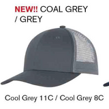 Ball Cap Grey/Grey