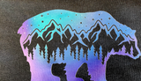 Northern Lights Bear